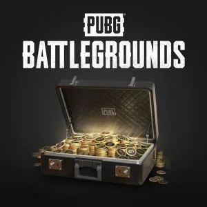 PUBG G-COIN